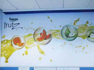 Vinyl Graphics